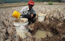 Separuh RI Sudah Masuk Musim Kemarau, Cek Daftar Wilayahnya. (KalderaNews/Foto)