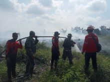 Karhutla di Kabupaten Bengkalis