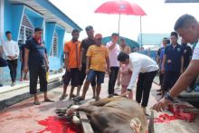 Lapas IIA Bengkalis saat melaksanakan pemotongan hewan qurban