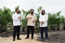 _Caption : Dirut Holding Perkebunan Nusantara III Persero Mohammad Abdul Ghani (kanan) bersama dengan Menteri BUMN Erick Thohir dan CEO PTPN V Jatmiko Santosa saat melaksanakan tanam tanam perdana di salah satu mitra plasma PTPN V, Provinsi Riau, beberapa waktu lalu._