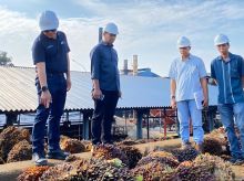 Direktur Produksi dan Pengambangan Holding Perkebunan Nusantara III Persero Mahmudi didampingi (tengah) CEO PTPN V Jatmiko Santosa (kiri) saat meninjau salah satu pabrik kelapa sawit PTPN V belum lama ini.