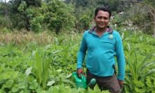 Raup Untung Hingga Puluhan Juta, Indra Bangga jadi Petani Cabai Binaan PT RAPP