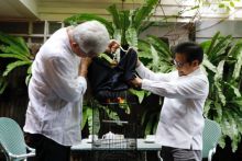 Ganjar Datangi Cak Imin, Bawa Sepasang Lovebird Warna Merah Hijau, Pertanda Cawapres?. (Kompas.com/Foto)