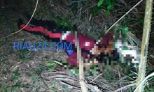 Korban LS ditemukan tewas di Jalan Lintas-Duri pekanbaru