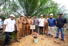 Gubernur Riau Syamsuar didampingi jajarannya beserta para petani peserta peremajaan sawit rakyat (PSR) dan GM Distrik Petani Mitra PTPN V Ferry P Lubis berfoto bersama usai panen perdana di Kabupaten Rokan Hilir, Riau