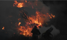 Karhutla 'Tornado Api' Muncul di Lokasi Kebakaran Savana Bukit Teletubbies Gunung Bromo. (bnpb.go.id/Foto)