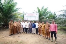 Gubernur Riau Syamsuar didampingi jajarannya beserta para petani peserta peremajaan sawit rakyat (PSR) dan GM Distrik Petani Mitra PTPN V Ferry P Lubis berfoto bersama usai panen perdana di Kabupaten Rokan Hilir, Riau.