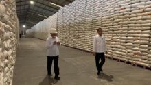 Jokowi Klaim Stok Beras Pemerintah Aman, Bagaimana dengan Faktanya di Lapangan?. (Dok. Perum Bulog)