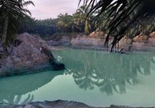 PTPN V Komitmen Wujudkan Perkebunan Berkelanjutan