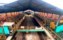 Semen Padang Jajaki Kerjasama Pemanfaatan Biomassa PTPN V Subtitusi Batubara