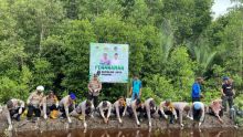 Penanaman pohon mangrove