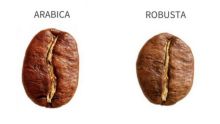 Antara Kopi Robusta dan Arabika, Manakah yang Lebih Sehat?. (Ilustrasi)