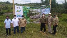 Kegiatan penanaman pakan gajah di areal konservasi gajah sumatera PalmCo Regional 3 pada 2021 silam. PalmCo Regional 3 yang sebelumnya bernama PTPN V mengalokasikan 50 hektare areal perkebunannya sebagai konservasi gajah sumatera