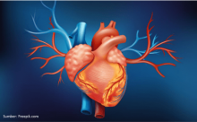 Kronologi Meninggalnya Chef Haryo, Sempat Mengeluh Demam dan Menggigil  