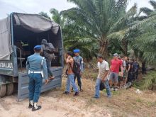 Lanal Dumai saat amankan PMI di Wilayah kabupaten Bengkalis