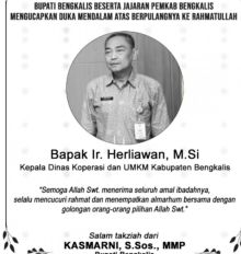Almarhum kadis koperasi Bengkalis