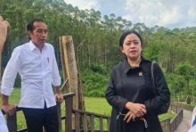Ketua DPP PDI Perjuangan, Puan Maharani. Sumber: Pinter Politik