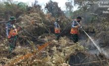 Karhutla di Kabupaten Bengkalis