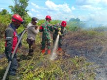 Tim gabungan saat memadamkan api karhutla diwilayah kecamatan pinggir