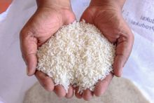 Modus Jual Beras Murah, Pria Lampung Ini Tipu Pedagang Hingga Rp300 Juta. (X/Foto)