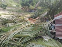 Kondisi rumah serta tanaman yang hancur dihajar gajah codet