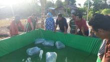 Tingkatkan Taraf Hidup Masyarakat Penyengat, RAPP Beri Bantuan Bibit Ikan Gabus dan Pelatihan