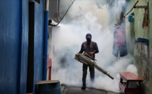 Kasus DBD RI Tembus 35 Ribu, 290 Pasien Meninggal Sepanjang 2024   