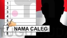 Ilustrasi caleg. Sumber: Internet