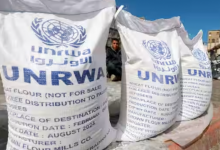 Tokyo dan 15 negara lainnya menangguhkan sekitar $ 450 juta dalam pendanaan awal tahun ini sementara badan tersebut melakukan penyelidikan atas tuduhan tersebut, melemparkan operasinya di Jalur Gaza yang dilanda perang ke dalam kekacauan /Reuters