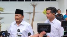 Presiden dan wakil presiden terpilih Prabowo Subianto dan Gibran Rakabuming. Sumber: viva.co.id