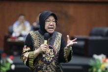 Menteri Sosial Tri Rismaharini. Sumber: Antara