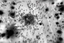 Beredar Video Militer Israel Ungkap Aksi Pembomannya di Gaza dari Udara. (X/Foto)