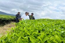 Region Head PTPN IV Regional 4 Ospin Sembiring saat melaksanakan kunjungan kerja ke lapangan