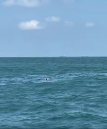 Diduga sosok mayat Juli Efriko korban yang terjatuh dari kapal ferry MV CAS