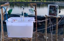 Meningkatkan Budidaya Udang Vaname, Mahasiswa Poltek Bengkalis Ciptakan Alat Tech PIC