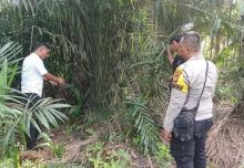 Miris, Kekerasan Seksual Pelajaran SMP di Siak, 6 Pelaku Masih Dibawah Umur, Diantaranya Masih SD Berikut Kronologinya