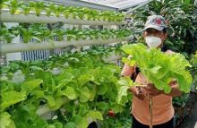 Ilustrasi pertanian kota. Sumber: Jakarta Pusat