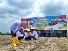 Polda Riau Pacu Ketahanan Pangan: Targetkan Panen Perdana Februari 2025
