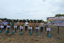 Kolaborasi Bersama PT Ivo Mas Tunggal dan Masyarakat, Polres Siak Tanami Ribuan bibit Jagung Pipil Diatas Lahan Seluas 6,5 Hektar