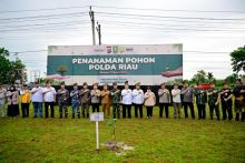 Diselenggarakan Kapolda Riau, Bupati Bengkalis Ikuti Kegiatan Penanaman 10.000 Pohon