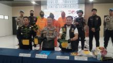Tanam Ganja, Warga Pangkalan Nyirih Rupat Ditangkap Satnarkoba