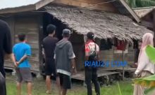 Breking News ! Suami Tega Bacok Istri Hingga Tewas di Desa Bantan Tengah Bengkalis