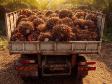 Sinergi PTPN IV dan Koperasi Jadi Aksi Nyata Hilirisasi Sawit Berbasis Rakyat