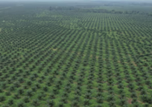 PTPN Group Tegaskan Komitmen Transformasi Industri Perkebunan