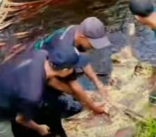 Penemuan Mayat di Parit di Desa Temeran Bengkalis Hebohkan Warga