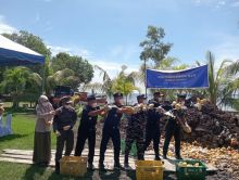 Bea Cukai Musnahkan 28000 Kilogram Mangga Illegal, Satu Nahkoda Ditetapkan Tersangka