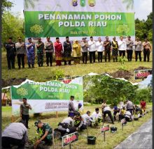 Kapolda Riau Tanam 1.000 Pohon Bersama Forkopimda: Gerakkan Siak Menuju Kabupaten Hijau dan Asri