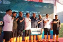 Indonesia Siap Tembus Pasar Karbon Global, PTPN IV Diapresiasi Menteri LH Atas Inovasi Ramah Lingkungan di Industri Sawit