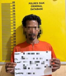 Modus Mobil Modifikasi, Polres Siak Bekuk Pencuri Sapi di Dayun