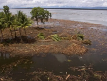 Gambar representatif /net